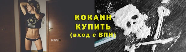 сатива Михайловск