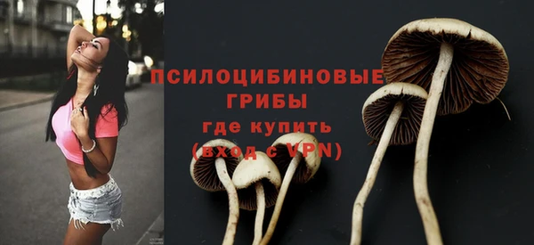 кристаллы Медвежьегорск