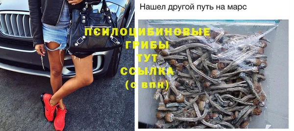 меф Медногорск