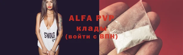 дживик Мегион