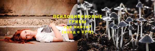 дживик Мегион