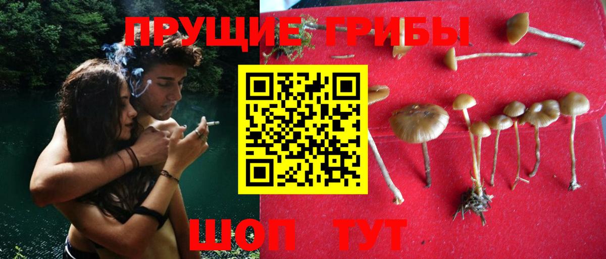 Псилоцибиновые грибы ЛСД  Белгород 